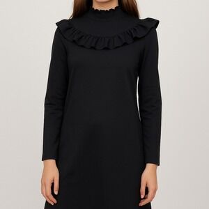 Black Ruffle Mock Neck Long Sleeve Mini Dress
